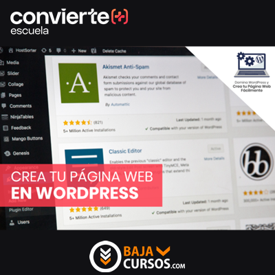 Domina WordPress – Convierte+