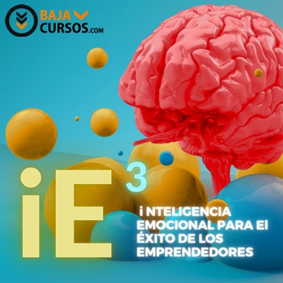 Inteligencia Emocional – i11